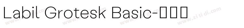Labil Grotesk Basic字体转换